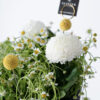 Glitter Bouquet 04/2