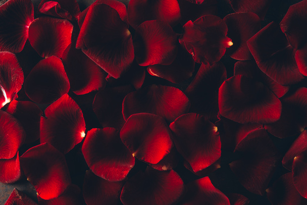 rose petals