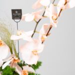 Glitter Bouquet 29/2