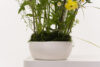 Glitter Bouquet 45 - Image 3