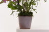 Glitter Bouquet 46 - Image 2