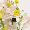 Flower Meanings