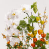 Glitter Bouquet 51
