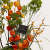 Glitter Bouquet 51