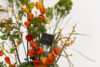Glitter Bouquet 51