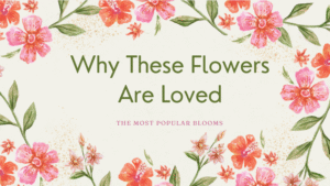 Screenshot 2025 11 27 110816