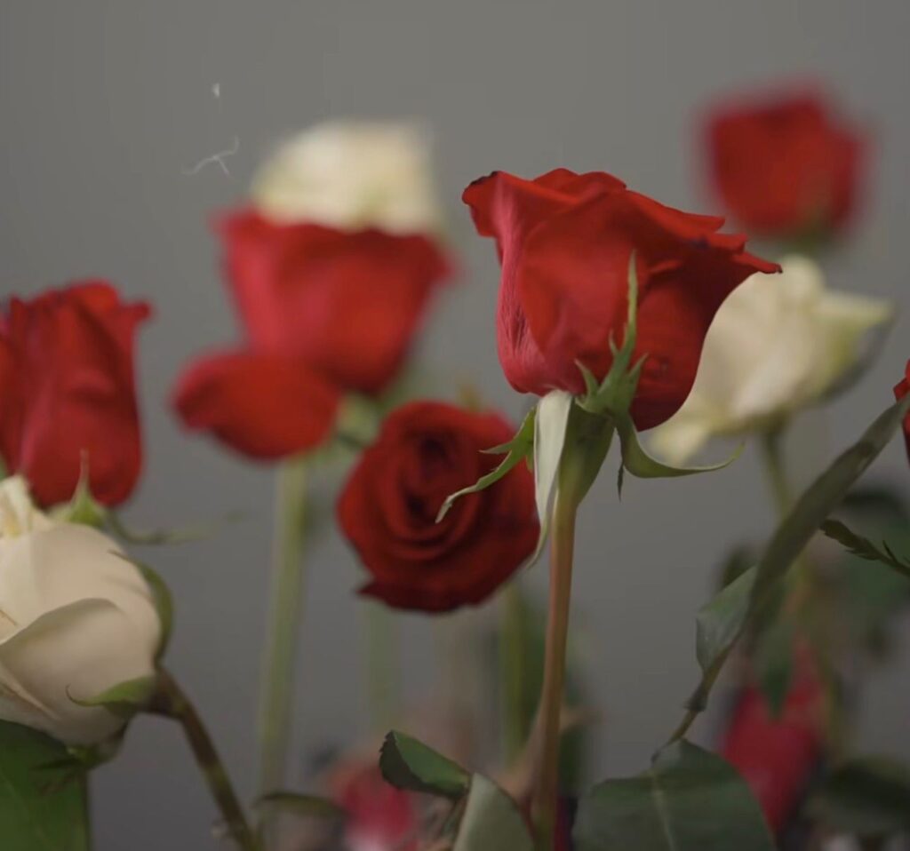 WhatsApp Image 2025 11 25 at 11.27.05 AM